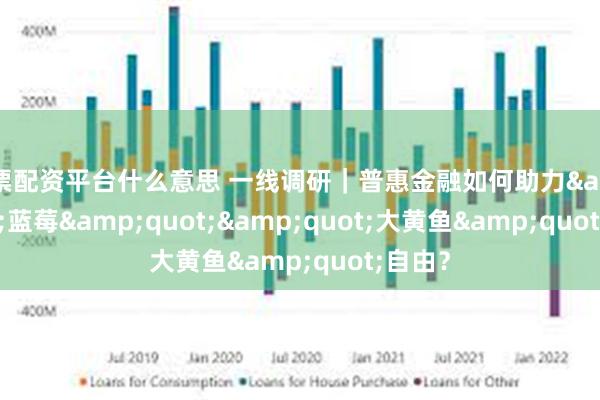 股票配资平台什么意思 一线调研｜普惠金融如何助力&quot;蓝莓&quot;&quot;大黄鱼&quot;自由？