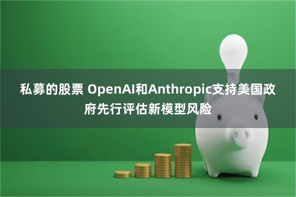 私募的股票 OpenAI和Anthropic支持美国政府先行评估新模型风险