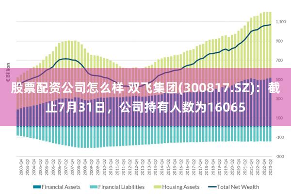 股票配资公司怎么样 双飞集团(300817.SZ)：截止7月31日，公司持有人数为16065