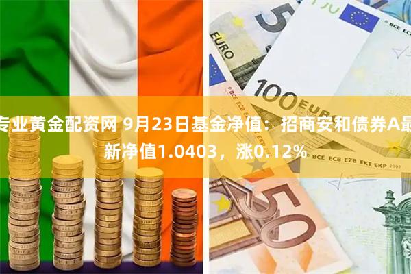 专业黄金配资网 9月23日基金净值：招商安和债券A最新净值1.0403，涨0.12%