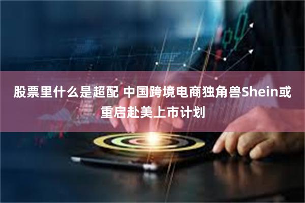 股票里什么是超配 中国跨境电商独角兽Shein或重启赴美上市计划