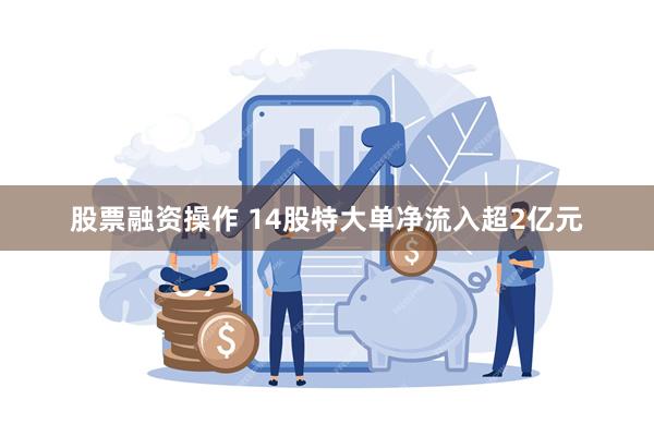 股票融资操作 14股特大单净流入超2亿元