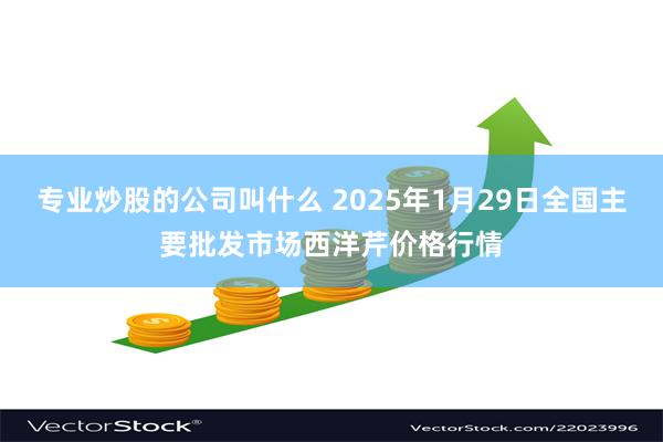 专业炒股的公司叫什么 2025年1月29日全国主要批发市场西洋芹价格行情