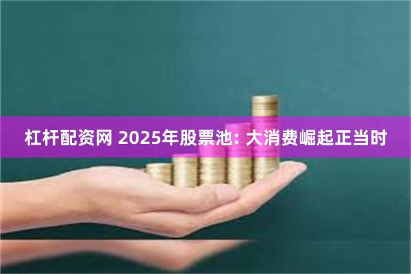 杠杆配资网 2025年股票池: 大消费崛起正当时